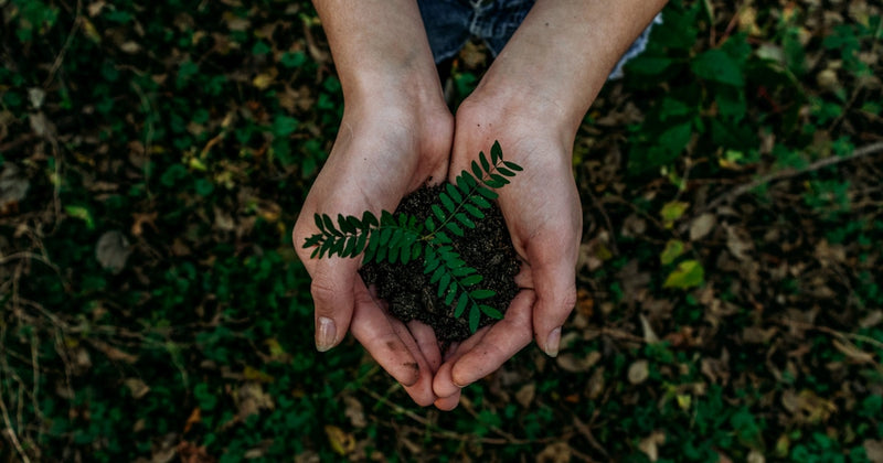 Why Renting is Better for the Environment and Your Wallet