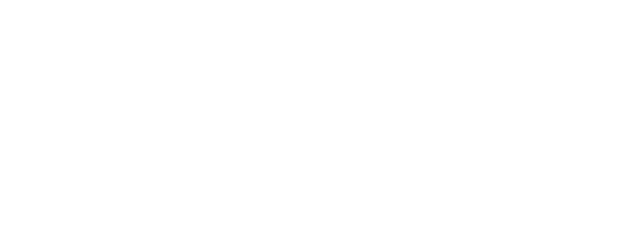 Foxnet Securitas